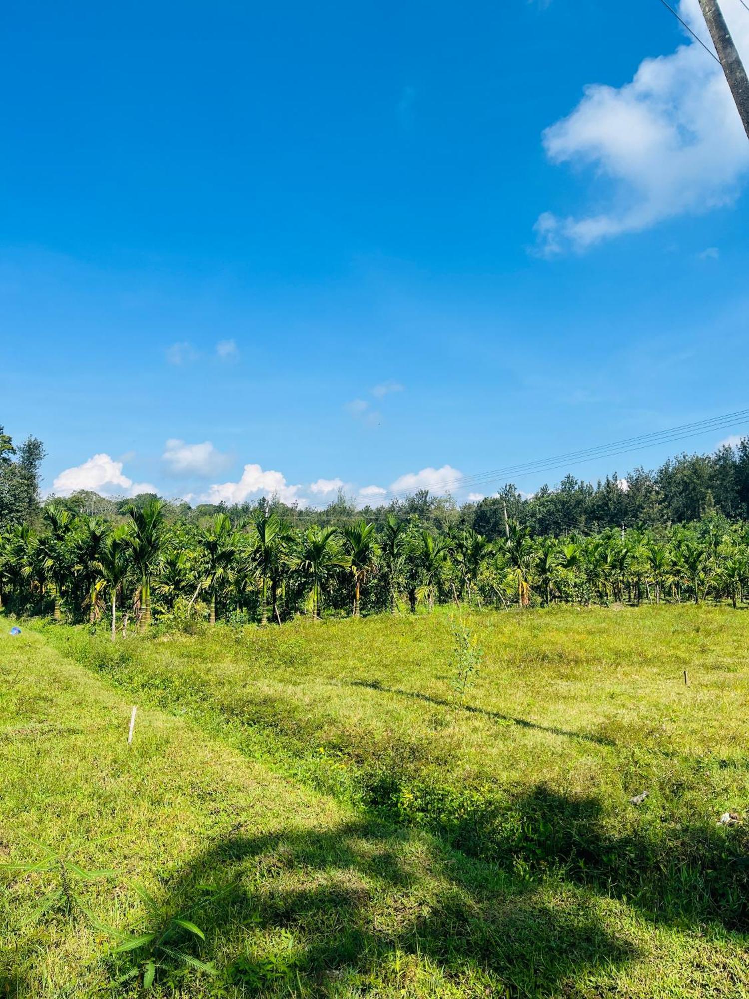 Preetham Homestay Kushālnagar Exteriör bild