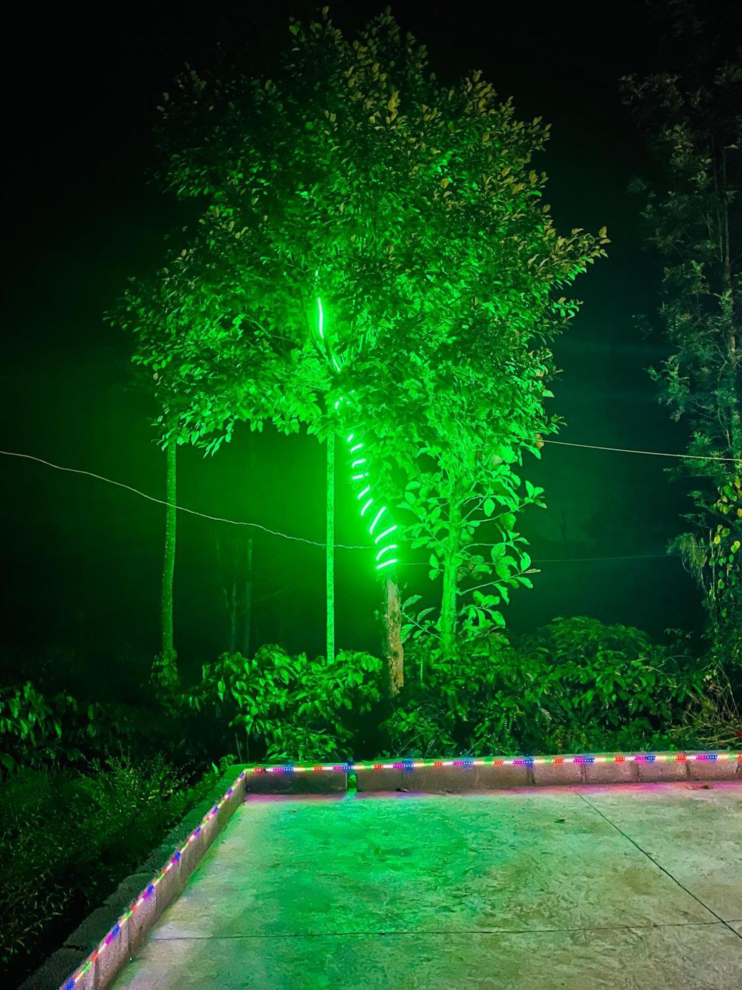 Preetham Homestay Kushālnagar Exteriör bild